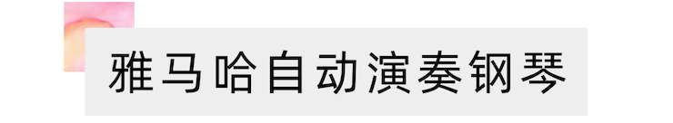 活动报道 | 远程艺术教育大师课活动—利来w66教育家崔岚大师课